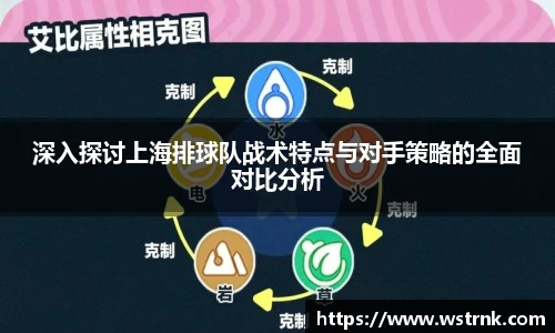 深入探讨上海排球队战术特点与对手策略的全面对比分析